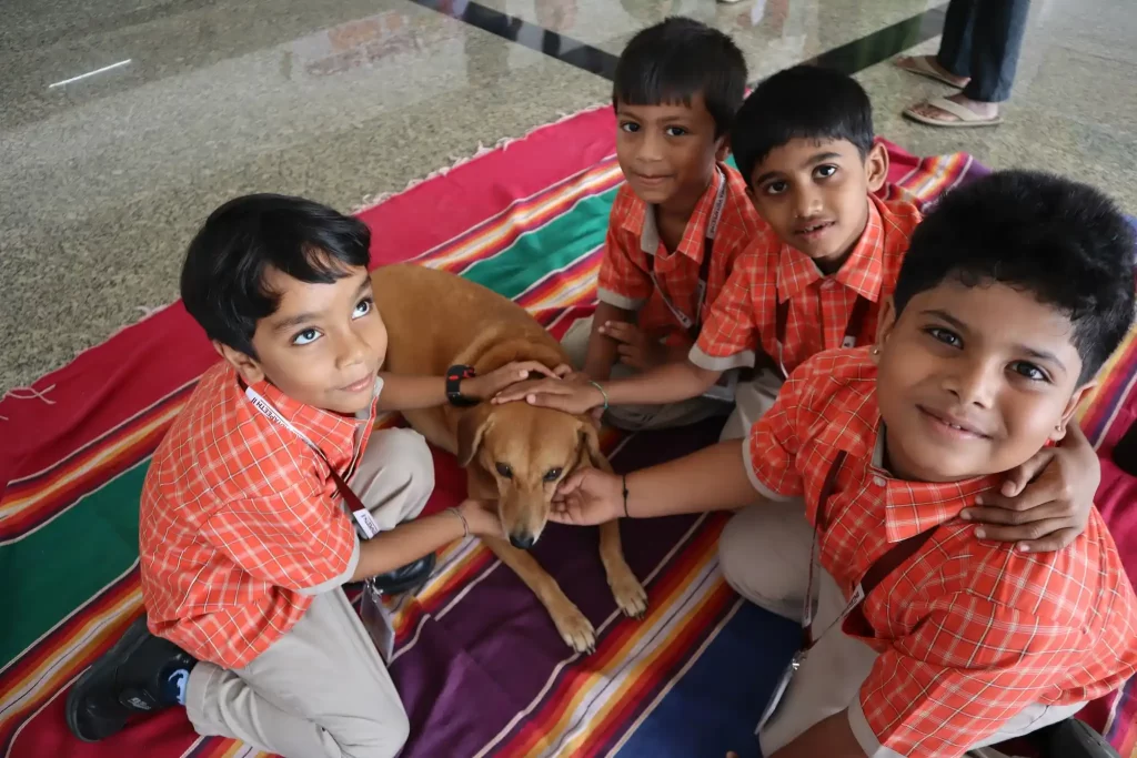 468034859_973329831501264_7039033987406543041_n