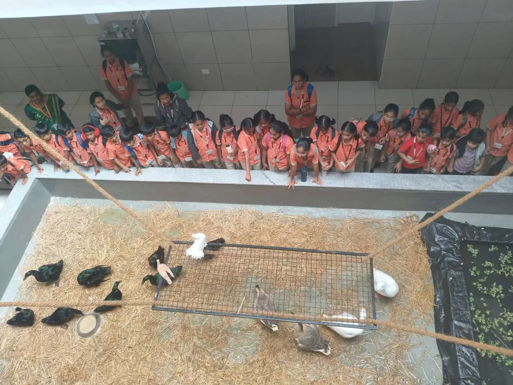 468042508_973345388166375_7821003248216662057_n