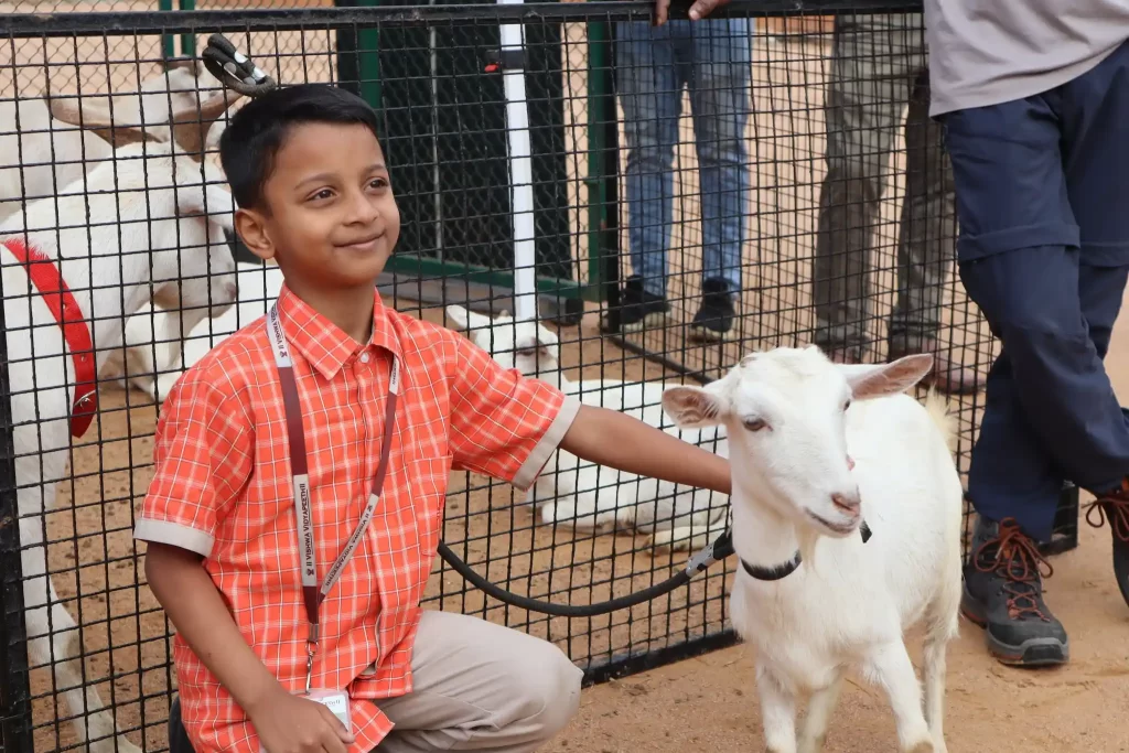 468052890_973329431501304_2252020267375239215_n