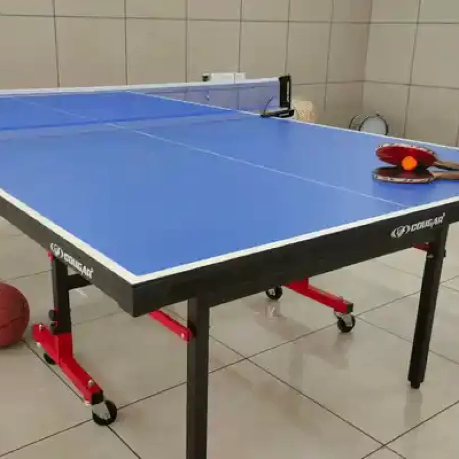 Table Tennis