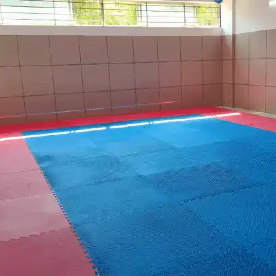 Taekwondo