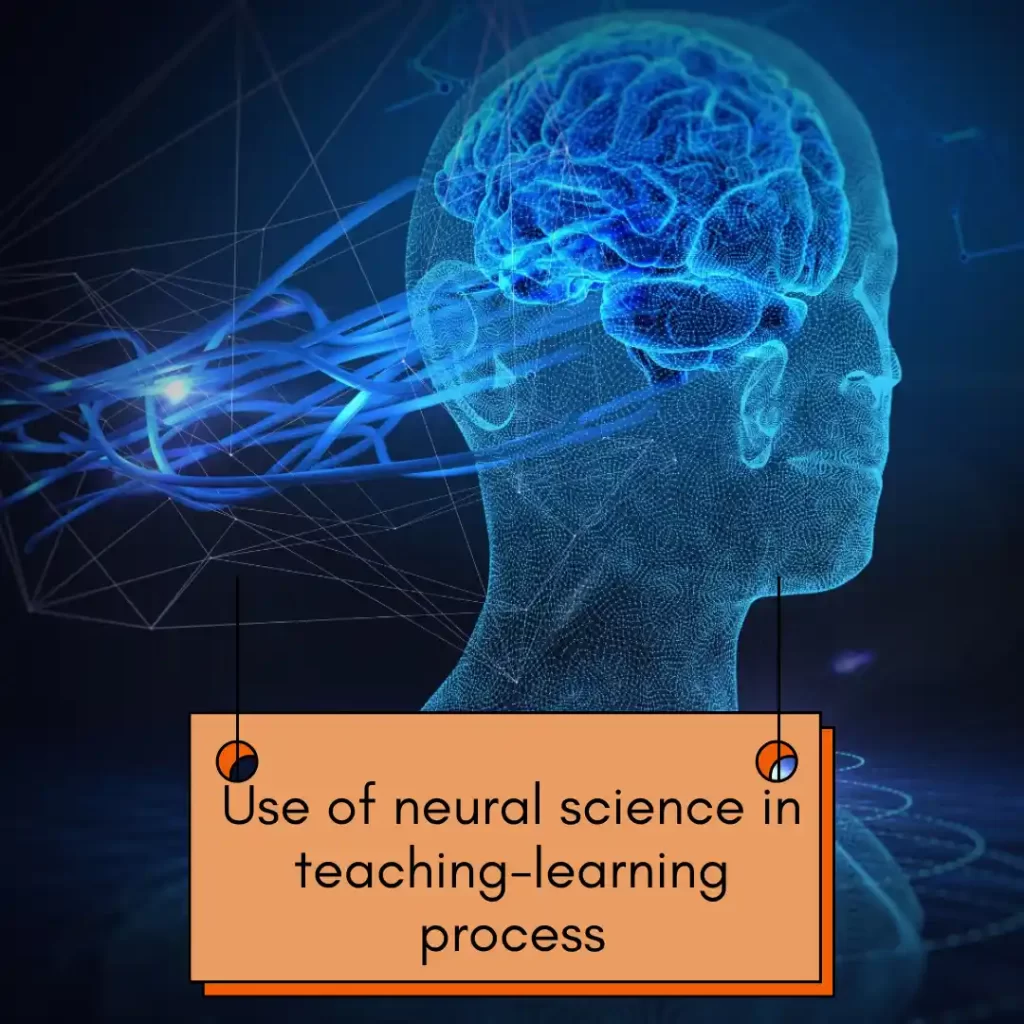 Illustration of a human brain with neural connections.