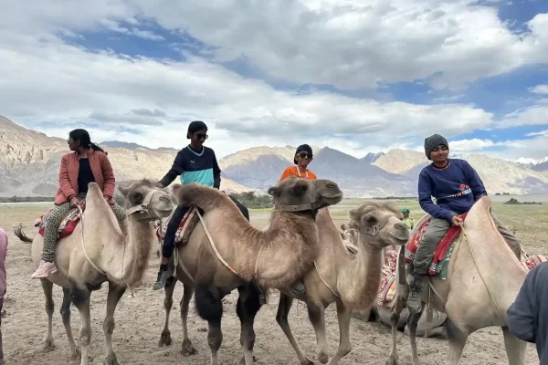 BACTRIAN-CAMEL-RIDES_LADAKH.webp